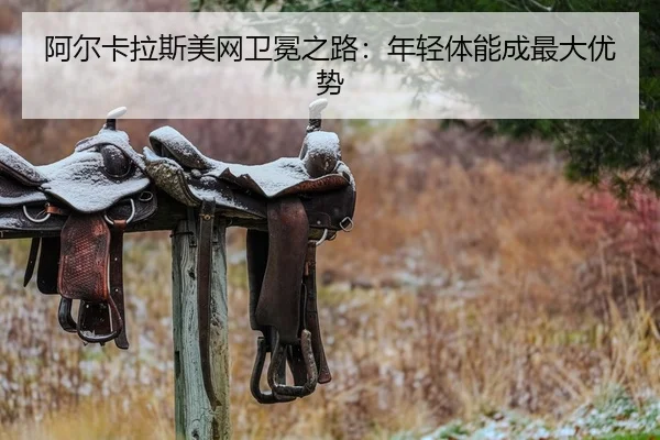 a-er-ka-la-si-mei-wang-wei-mian-zhi-lu-nian-qing-ti-neng-cheng-zui-da-you-shi-2-315.jpg