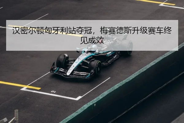 han-mi-er-dun-xiong-ya-li-zhan-duo-guan-mei-sai-de-si-sheng-ji-sai-che-zhong-jian-cheng-xiao-3-889.jpg