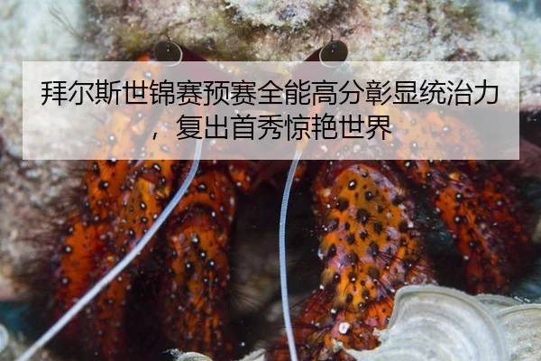 拜尔斯世锦赛预赛全能高分彰显统治力，复出首秀惊艳世界