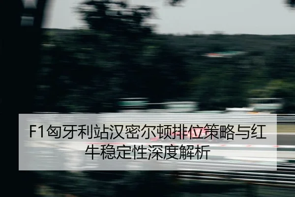xiong-ya-li-zhan-han-mi-er-dun-pai-wei-ce-lve-yu-hong-niu-wen-ding-xing-shen-du-jie-xi-2-116.jpg
