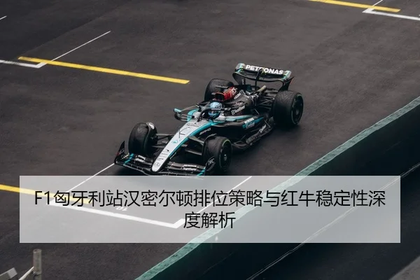 xiong-ya-li-zhan-han-mi-er-dun-pai-wei-ce-lve-yu-hong-niu-wen-ding-xing-shen-du-jie-xi-3-967.jpg