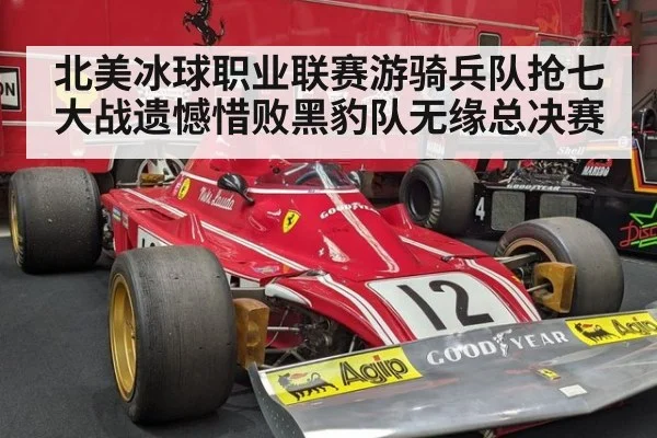 北美冰球职业联赛游骑兵队抢七大战遗憾惜败黑豹队无缘总决赛
