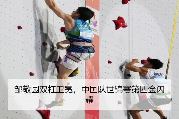 邹敬园双杠卫冕，中国队世锦赛第四金闪耀